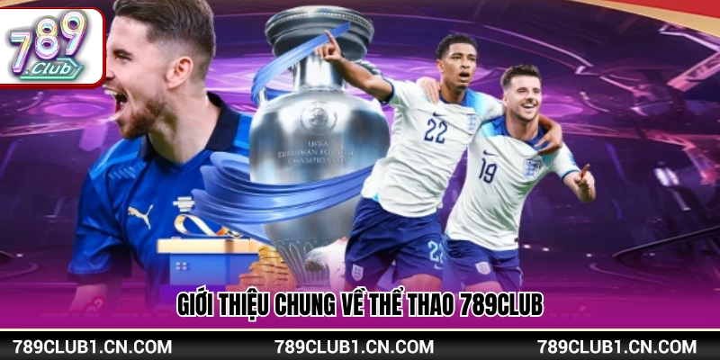 Thể Thao 789Club – Sân Chơi Cá Cược Sôi Động Mỗi Ngày 1 Tổng quan sảnh cá cược thể thao tại 789 Club
